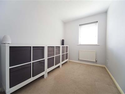 Picture 15
